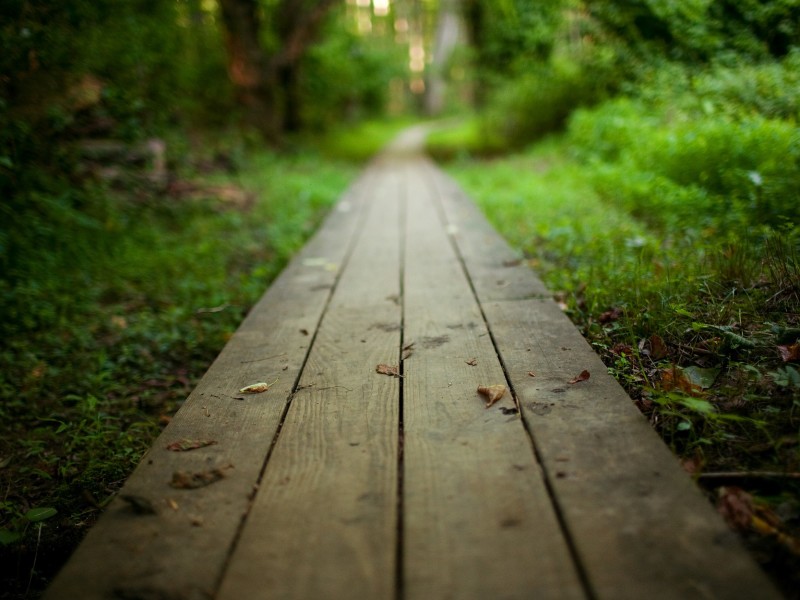 A Path to Purpose in 10 Simple Lessons