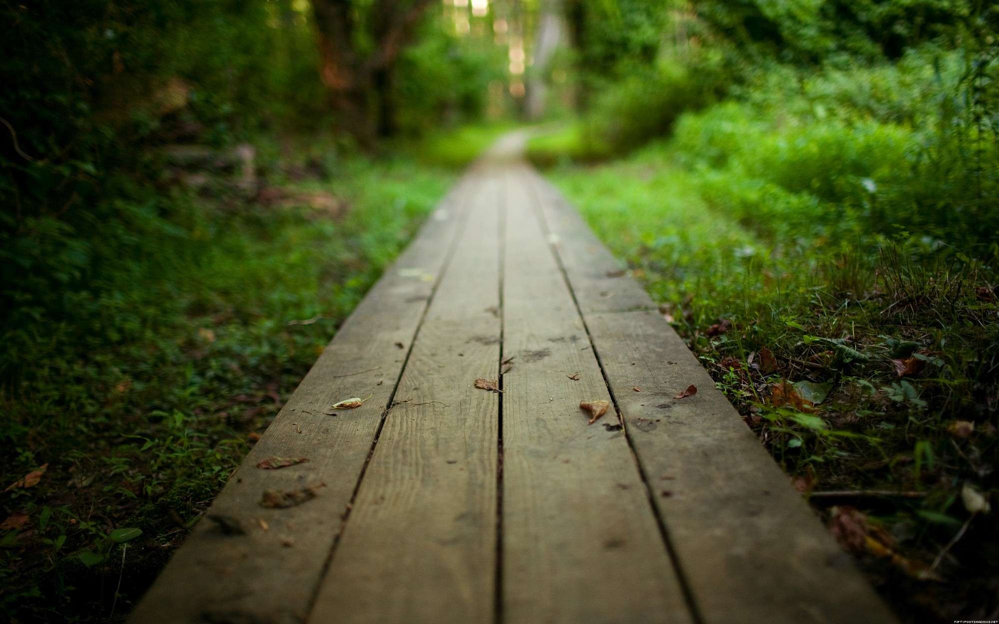 A Path to Purpose in 10 Simple Lessons